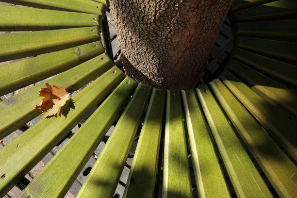 黄色的叶子在绿色的长凳上，秋天图片下载