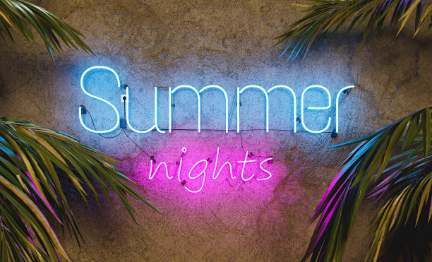 墙上的霓虹灯上写着夏夜和棕榈叶图片下载