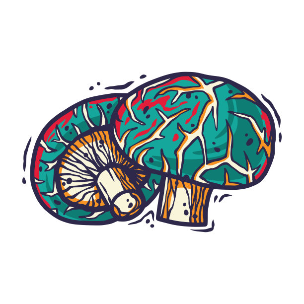 香菇素烹饪用图片下载