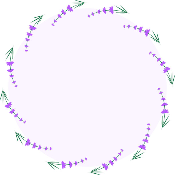 薰衣草花在一个圆形的框架。春天和夏天的时间。盛开的鲜花。图片下载