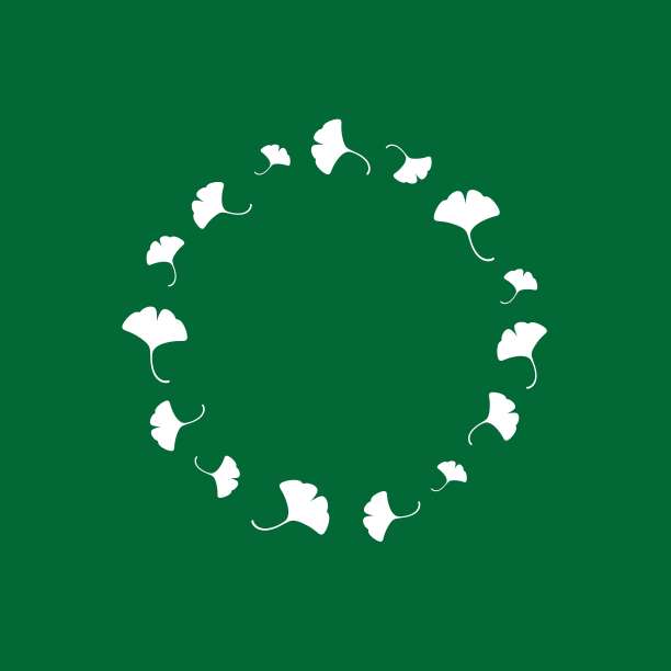 白色圆形花环从银杏叶分离在深绿色背景。图片下载