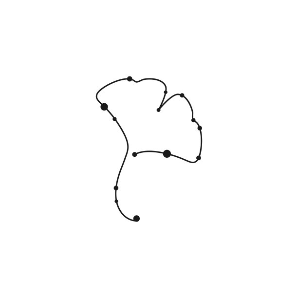 银杏叶孤立在白色。星座明星风格。自然生态图标。图片下载