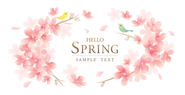 现代和优雅的花矢量背景图片下载