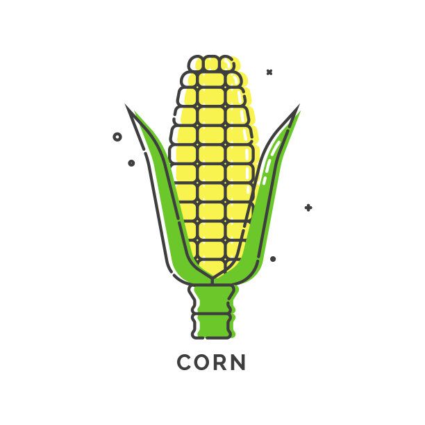 白色背景上的金黄玉米。有机食品。健康的产品。黄色的玉米幼穗，有绿色的叶子。健康饮食。素食食品。平线艺术图标。孤立的对象图片下载