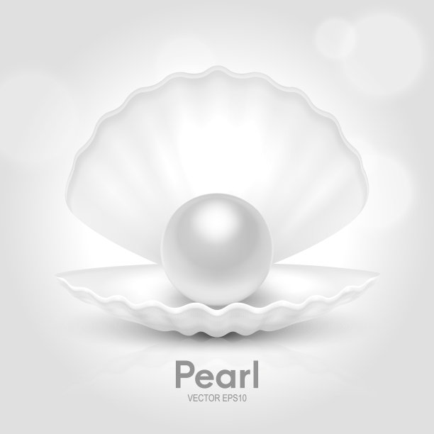 矢量3d现实美丽的自然打开白色珍珠壳与白色珍珠内部特写孤立的白色背景与反射。图形贝壳的设计模板。前视图图片下载