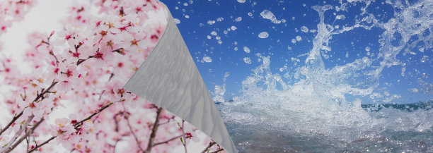 春翻夏翻杏树花夏海路度假旅游度假旅游行车- 3d效果图图片下载