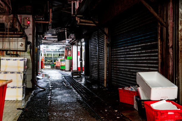 流浮山的传统香港风格金属店的百叶窗图片下载