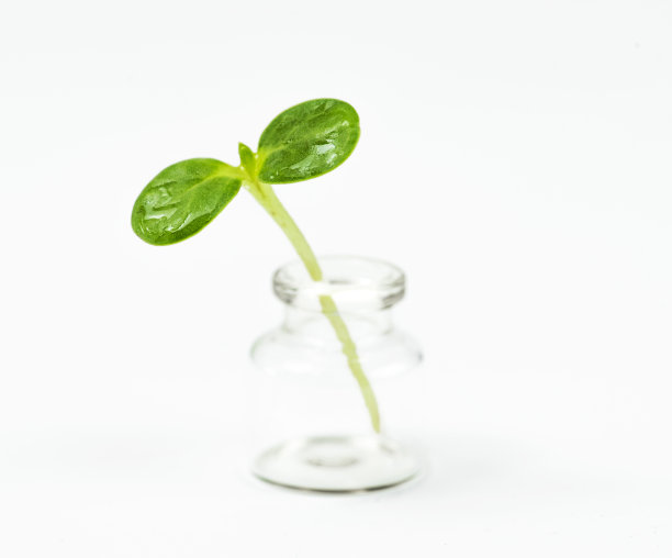 试管在光的背景下。图片下载