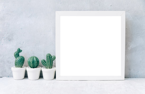 最小模拟的白色框架与陶瓷仙人掌植物盆栽在架子或书桌上。白色的架子和墙壁。图片下载