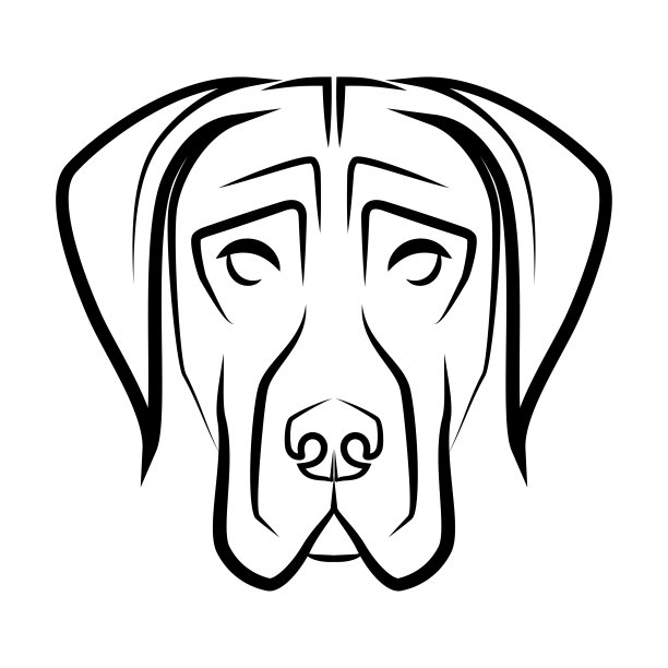 黑白线条艺术大丹犬的头。很好的使用符号，吉祥物，图标，化身，纹身，T恤设计，标志或任何你想要的设计。图片下载