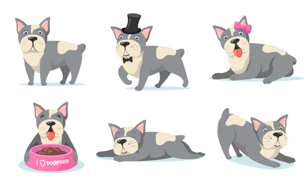 可爱的小法国斗牛犬平面图片为网页设计图片下载