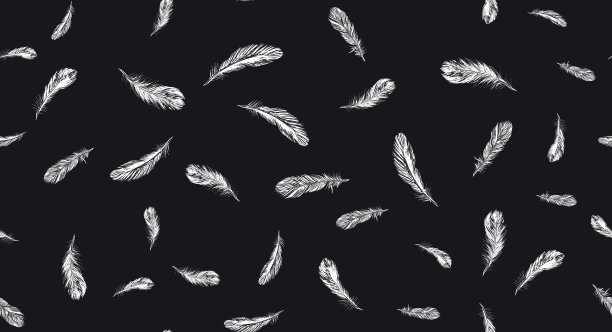 白色背景上的羽毛。手绘素描风格。图片下载