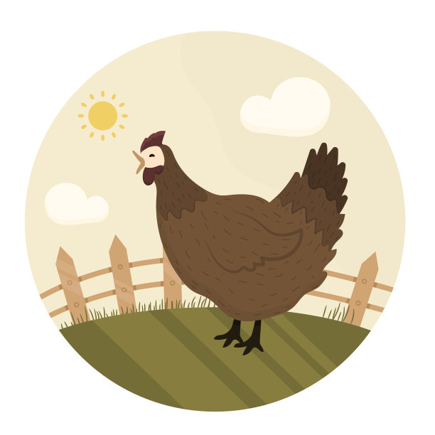 鸡和农村家禽农场的标志图片下载