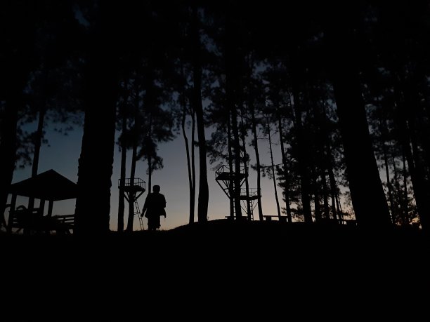 独自一人图片下载