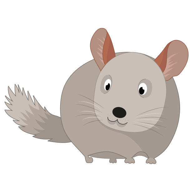 一个钦奇利亚图片下载