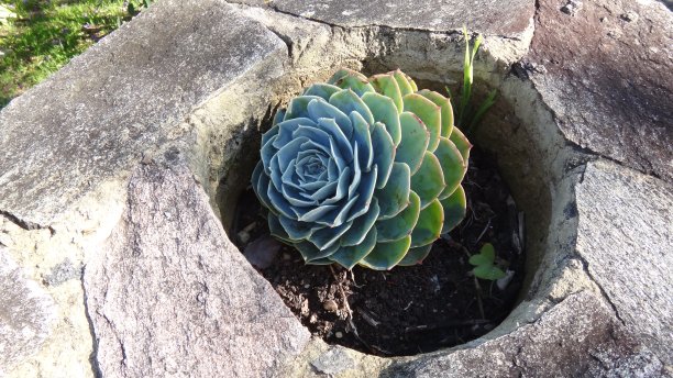 埃切韦里亚因布林卡塔工厂图片下载