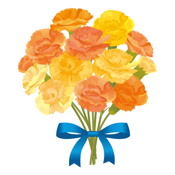 黄色康乃馨的插图材料图片下载