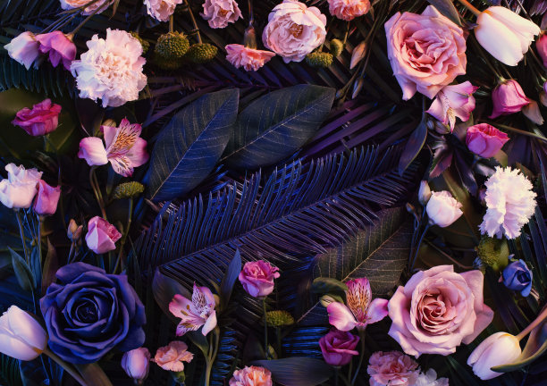 粉红色的霓虹灯，五彩缤纷的花朵排列与天然的绿叶。最小的花的概念。平的。图片下载