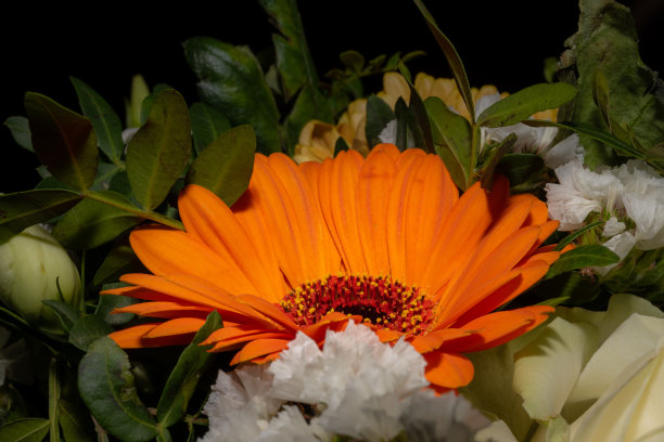 葬礼上一束鲜花的特写照片。白色，黄色和橙色的花和绿色的叶子图片下载