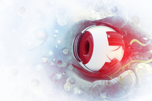 人眼解剖。内部结构。三维演示图片下载