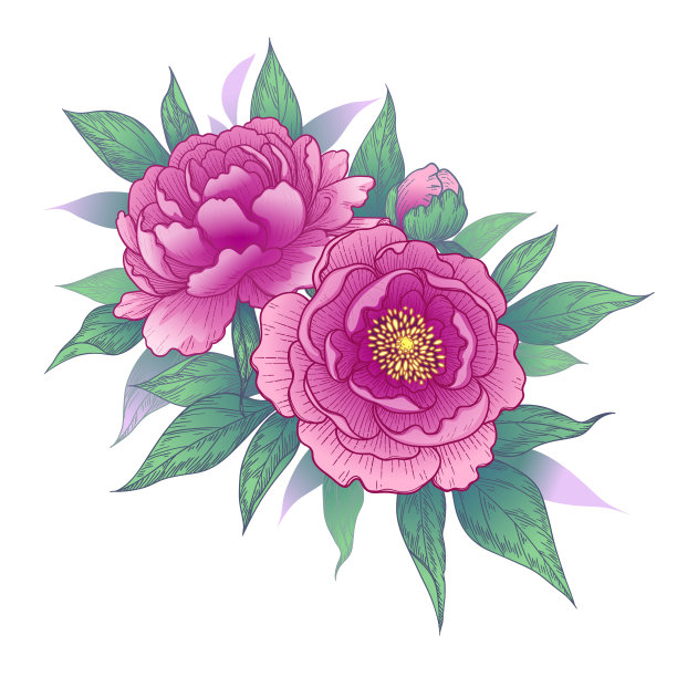 手绘花束与粉红色牡丹花图片下载