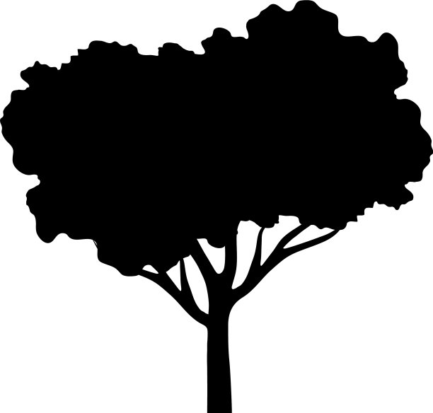 叶树植物剪影风格图片下载