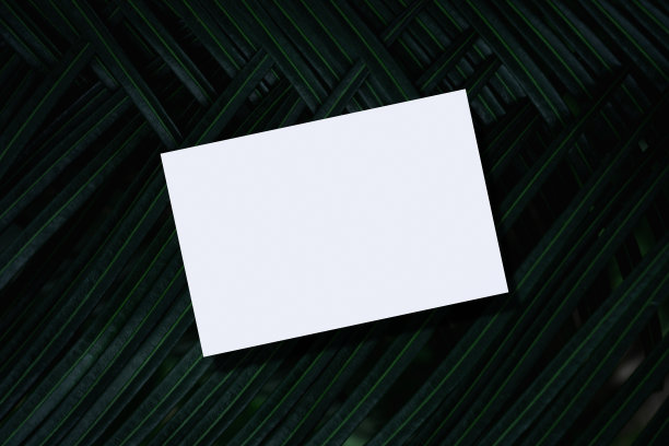 空白白纸模型的特写在绿色棕榈叶的背景。图片下载