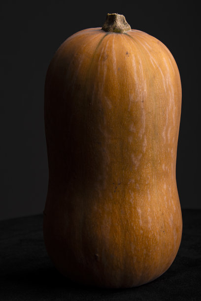 冬南瓜图片下载