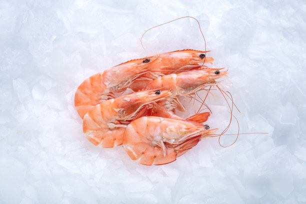 冰镇鲜虾图片下载