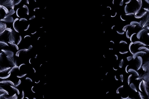 羽毛下降。自然抽象的鸟羽毛纹理特写落在图案壁纸的黑色背景上。迷人的复杂的空气艺术形象孤立在黑色。图片下载