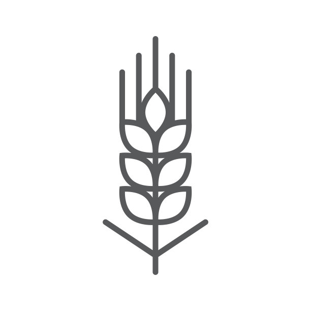 麦粒线图标。极简图标孤立在白色背景。小麦谷粒轮廓简单。图片下载