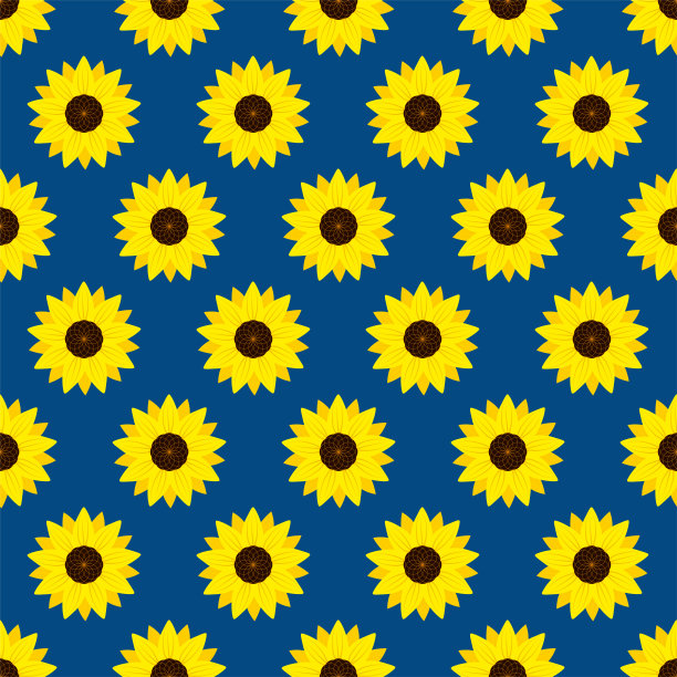 黄色的向日葵图片下载