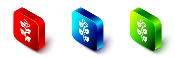 等距的常春藤分支图标孤立在白色的背景。分支用树叶。红色，蓝色和绿色的方形按钮。向量图片下载