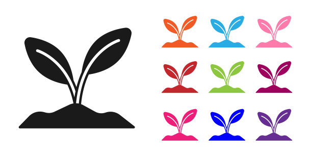 黑芽图标孤立的白色背景。种子和幼苗。叶子的迹象。叶自然。设置图标丰富多彩。向量图片下载