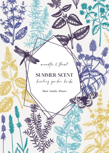 矢量薄荷卡片或邀请设计。图片下载