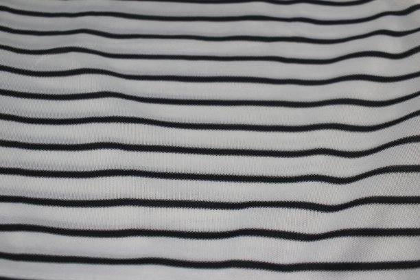 斑马图案图片下载