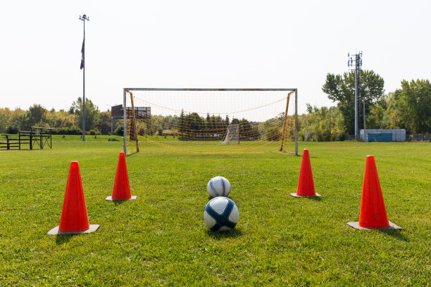 草地上的球果图片下载
