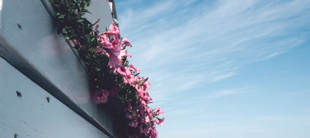 海滩上夏日咖啡馆的木制白色阳台图片下载