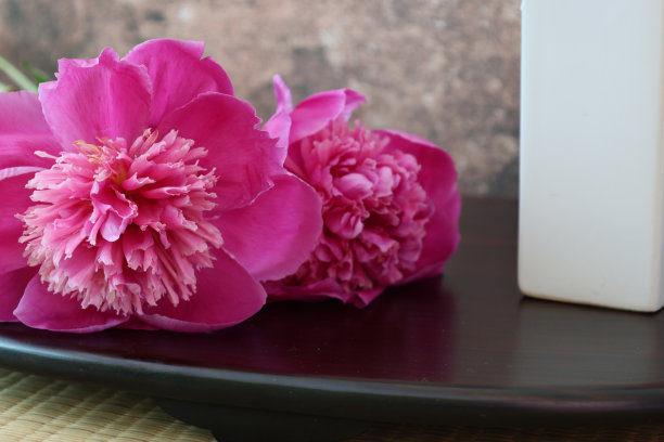 日本人的房间里有粉红色的牡丹和白色的花瓶图片下载