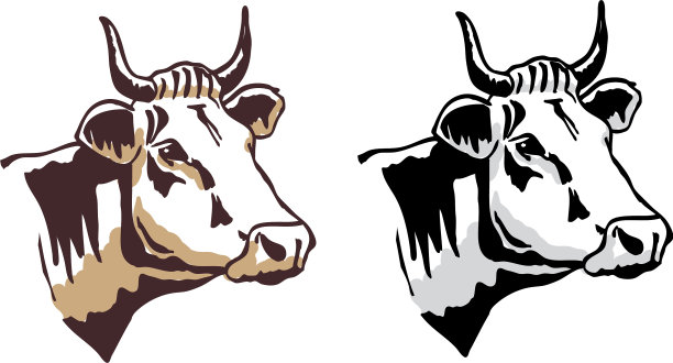 牛的头图片下载