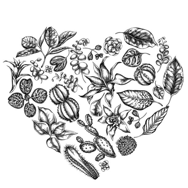 心花设计与黑色和白色榕树图片下载