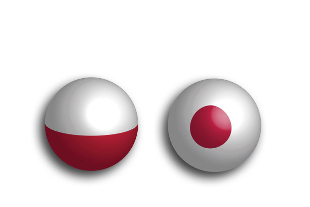 日本和波兰的双边关系图片下载