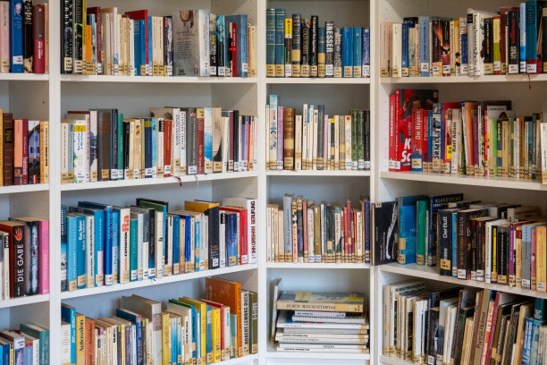 图书馆的书架上有许多书图片下载