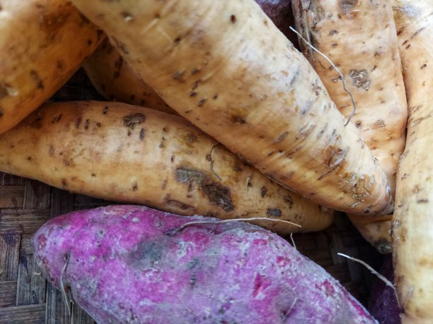 白甘薯和紫甘薯图片下载