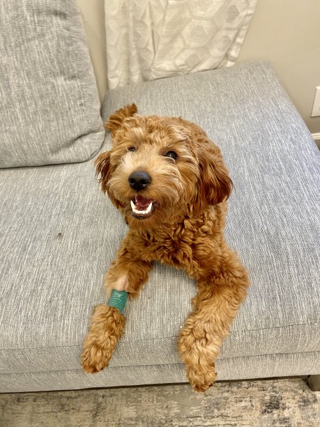 快乐金涂鸦图片下载