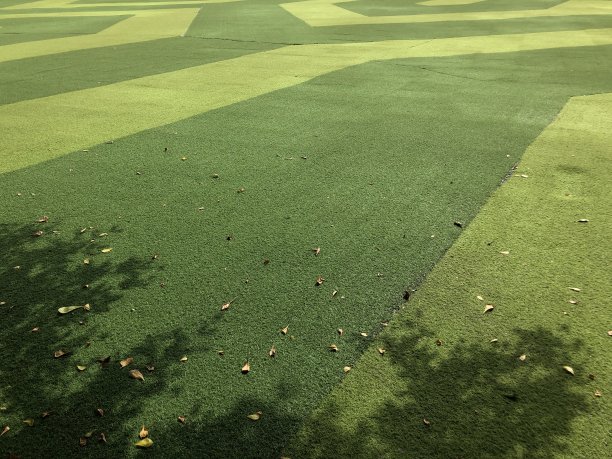 一种具有独特图案的合成草图片下载