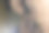 灌木丛，湖边的草地，鸟瞰图，无人机拍摄的照片。图片下载