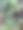 这是一组健康的番茄植株的特写图片，它们生长在塑料盆里，储存在一个纸板盒里，年轻的番茄植株叶子生长在堆肥中，准备在水果和蔬菜花园中生长图片下载