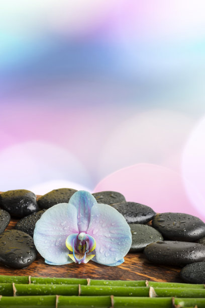 水疗概念-黑色按摩石，兰花花和竹茎在散焦灯光的背景图片下载