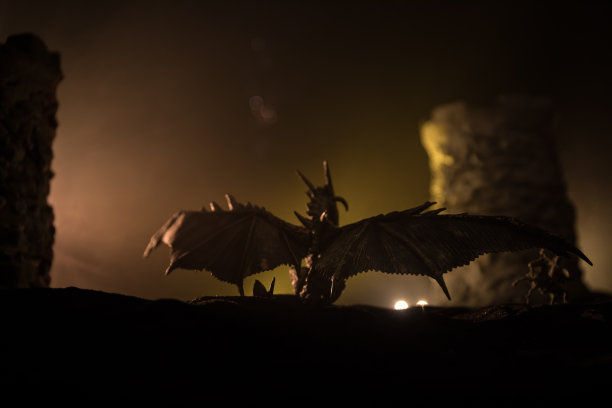 龙和英雄战士之间的战斗。创造性的表装饰。有选择性的重点图片下载